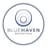 Blue Haven Initiative logo