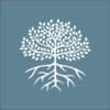 NoVo Foundation logo