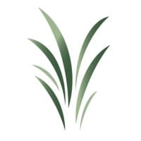 Creation Investments Capital Management logo
