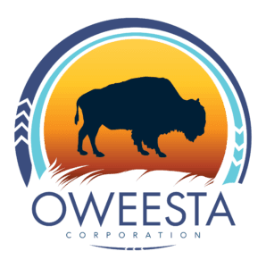 Oweesta logo