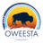 Oweesta logo