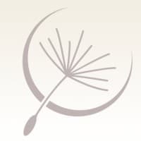 Astera Institute  logo
