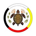 Turtle Island Community Capital logo