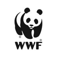 Canopy logo