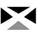 Excelsior Capital Vietnam logo